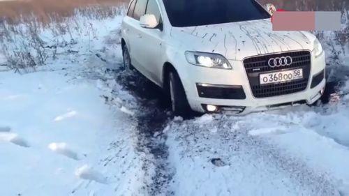 哈佛最新爆料消息视频,最新爆料视频深度解析