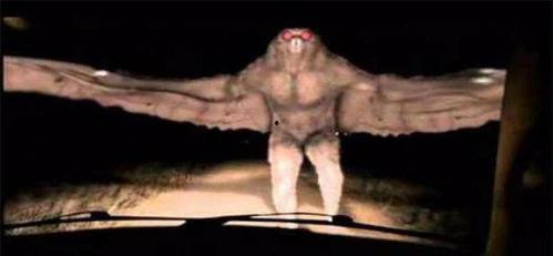 官方爆料的恐怖生物视频,官方视频揭秘未知生物之谜